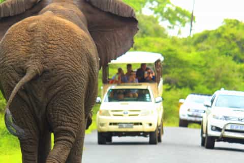 Cape Vidal iSimangaliso Wetland Park Beach and Bush Safari