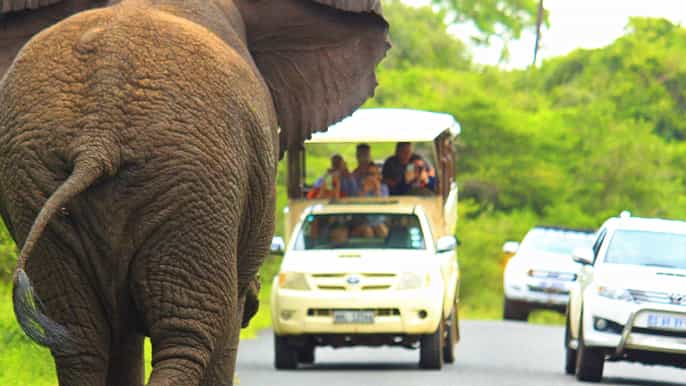 cape vidal isimangaliso wetland park beach en bush safari