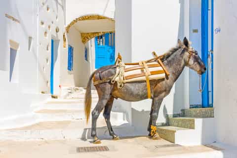 From Paros: Boat Trip to Amorgos Island with Free Time