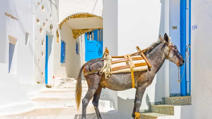 from paros boat trip to amorgos island with free time