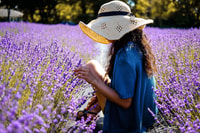 From Avignon, Lavender & Luberon villages - Housity