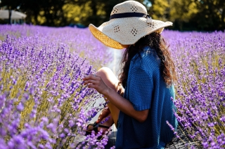 From Avignon: Lavender Fields & Luberon Village Guided Tour