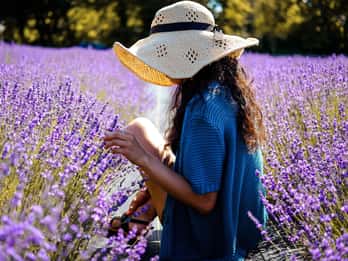 From Avignon: Lavender Fields & Luberon Village Guided Tour
