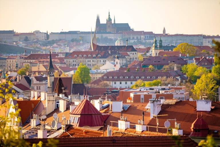 Prague: Château de Vyšehrad de 2,5 heures avec Gorlice & TicketsVisite privée du château de Vyšehrad avec Gorlice en français