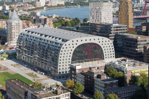 Rotterdam: Wycieczka po zabytkach architektury, w tym zajezdniaRotterdam: Wycieczka po najważniejszych atrakcjach architektury prywatnej