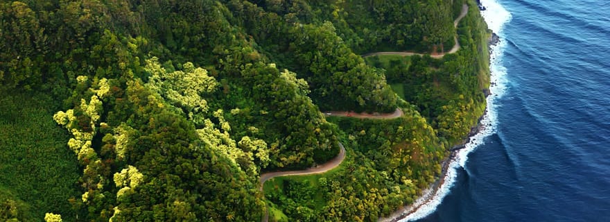 Maui : Excursion d'une journée à Hana au départ de Kahului
