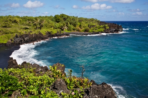 Maui: excursion d'une journée à Heavenly Hana au départ de Kahului