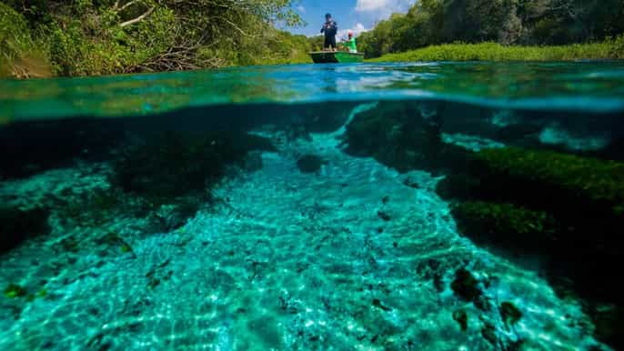bonito sucuri river snorkeling tour