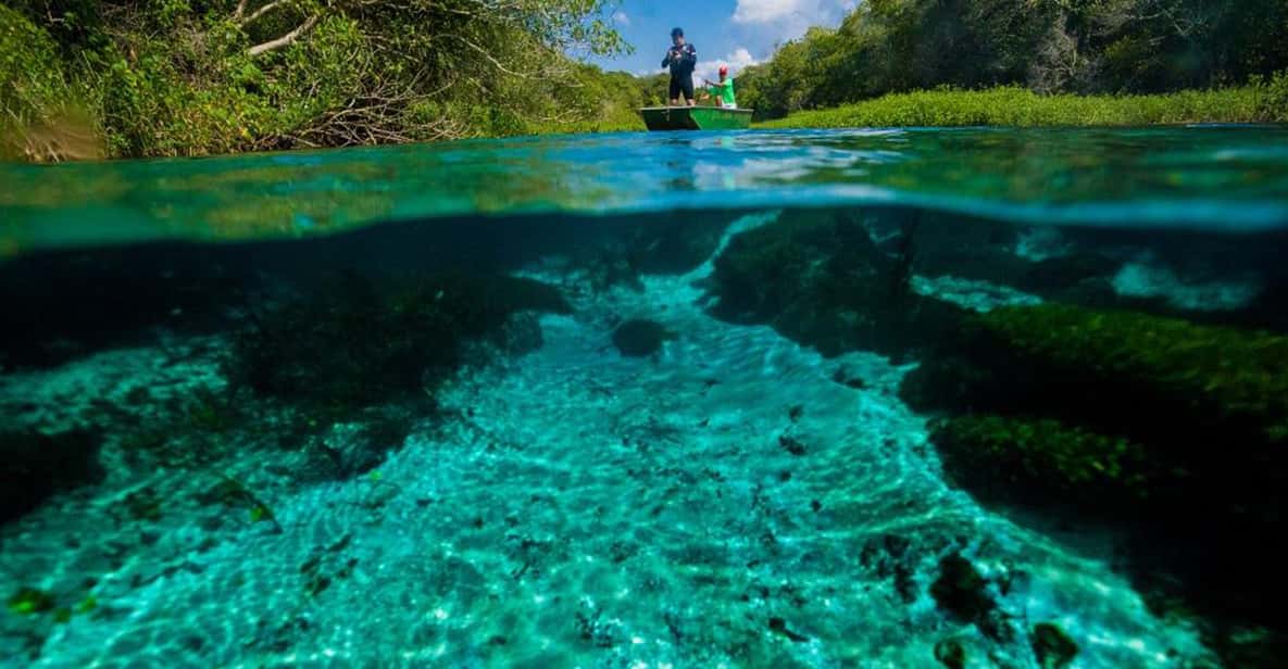Bonito: Sucuri River Snorkeling Tour