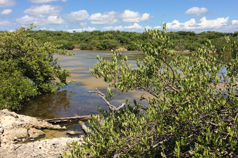 Parque Nacional de Jaragua: Explora la Laguna de Oviedo