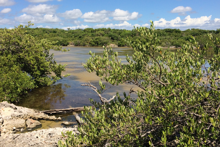 Parque Nacional de Jaragua: Explora la Laguna de Oviedo