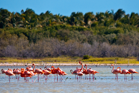 Jaragua National Park: Explore Laguna de Oviedo