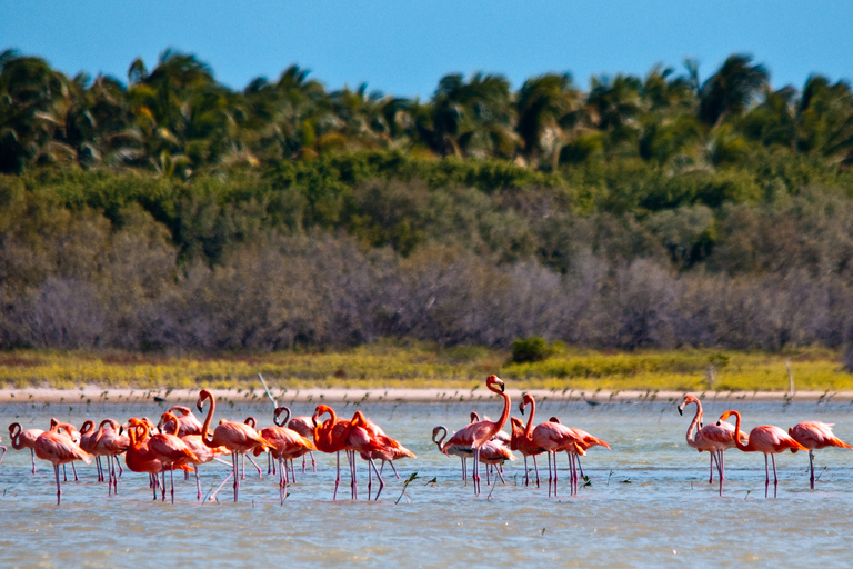 Parque Nacional de Jaragua: Explora la Laguna de Oviedo