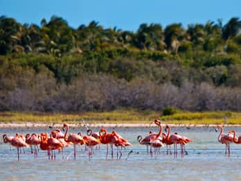 Jaragua National Park: Explore Laguna de Oviedo