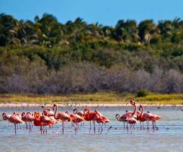 Jaragua National Park: Explore Laguna de Oviedo