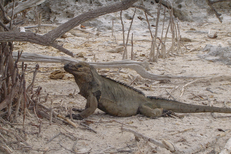 Parque Nacional de Jaragua: Explora la Laguna de Oviedo
