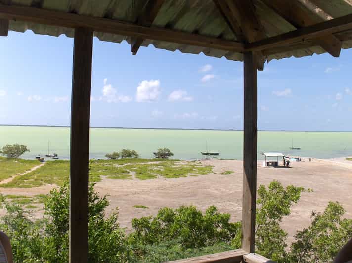 JaraguaNationalpark Erkunde die Laguna de Oviedo GetYourGuide