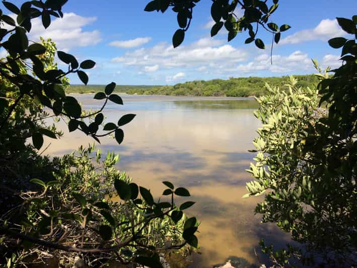 Jaragua National Park Explore Laguna de Oviedo GetYourGuide