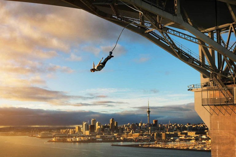 Auckland Harbour Bridge: Bungy Auckland Harbour Bridge Bungy Jump