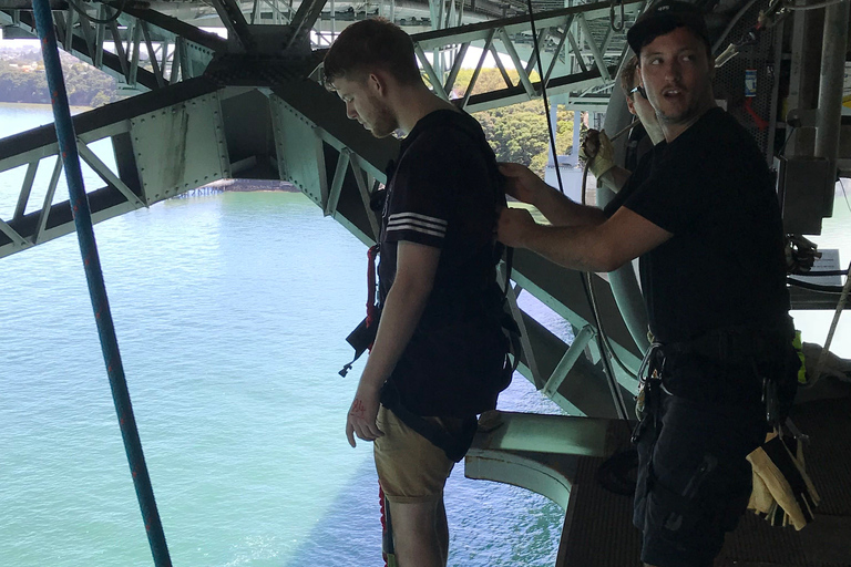 Auckland Harbour Bridge: Bungy Auckland Harbour Bridge Bungy Jump
