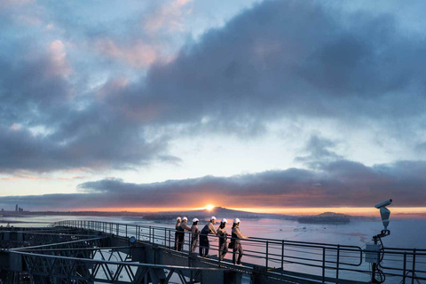 Most Auckland Harbour Bridge: wspinaczka na mostWspinaczka na most Auckland Harbour Bridge wraz z transportem w obie strony