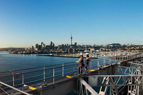 Most Auckland Harbour Bridge: wspinaczka na mostWspinaczka na most Auckland Harbour Bridge wraz z transportem w obie strony