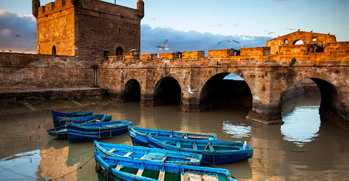 From Marrakech: Day Trip to Essaouira