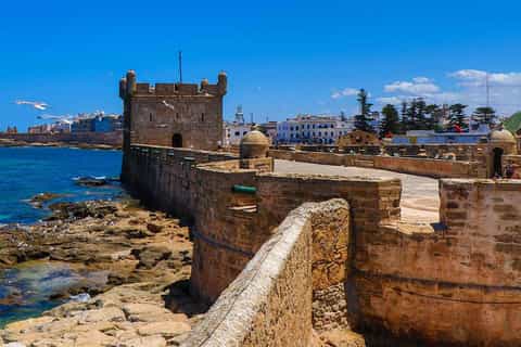 From Marrakech: Day Trip to Essaouira