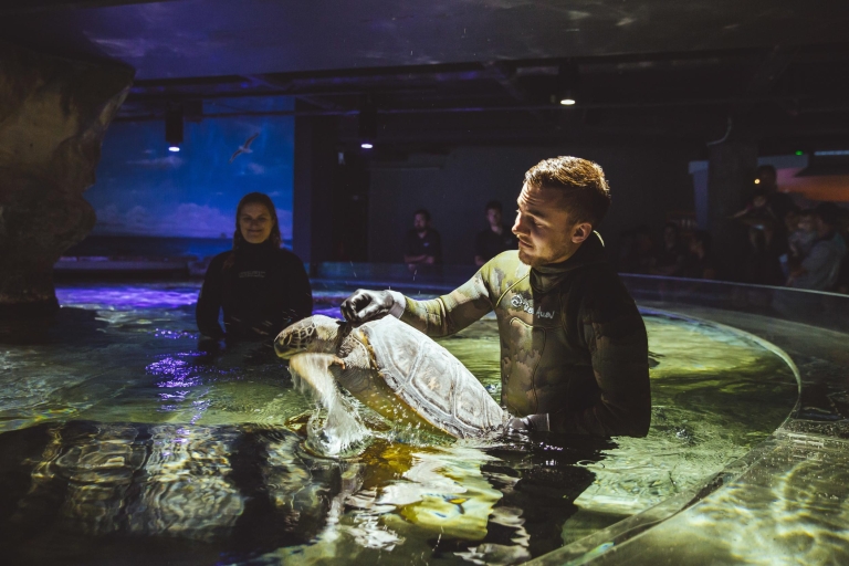 Aquarium Sea Life Kelly Tarlton : billet standard