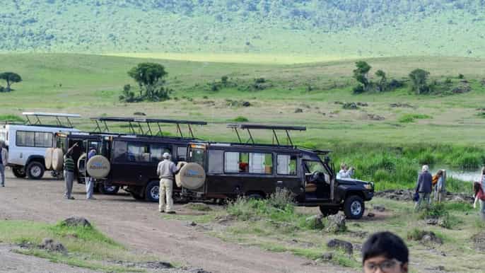 from arusha ngorongoro crater with nature tour and lunch