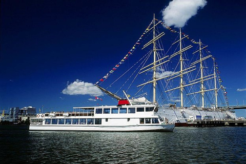 Gotemburgo: Passeio de barco guiado de 4 horas pela Ilha Vinga