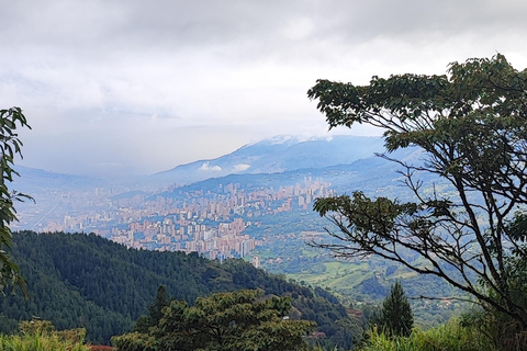 Medellín : visite El Patron dans la cathédraleLe saint patron dans la cathédrale