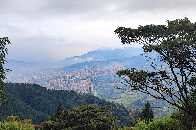 Medellín : visite El Patron dans la cathédraleLe saint patron dans la cathédrale