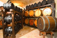 De Bologne, Emilia Excellence Food Tour - Hizvo