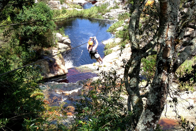 Von Kapstadt aus: 5-tägige Best of Garden Route und Addo SafariTour mit geteiltem Schlafsaal in einer Backpacker-Unterkunft