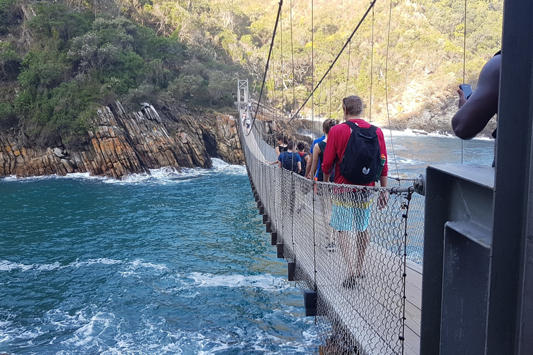 Von Kapstadt aus: 5-tägige Best of Garden Route und Addo SafariTour mit geteiltem Schlafsaal in einer Backpacker-Unterkunft