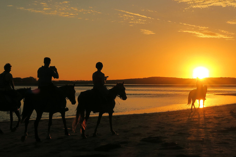 Von Kapstadt aus: 5-tägige Best of Garden Route und Addo SafariTour mit geteiltem Schlafsaal in einer Backpacker-Unterkunft