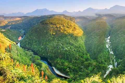 Von Kapstadt aus: 5-tägige Best of Garden Route und Addo SafariTour mit geteiltem Schlafsaal in einer Backpacker-Unterkunft