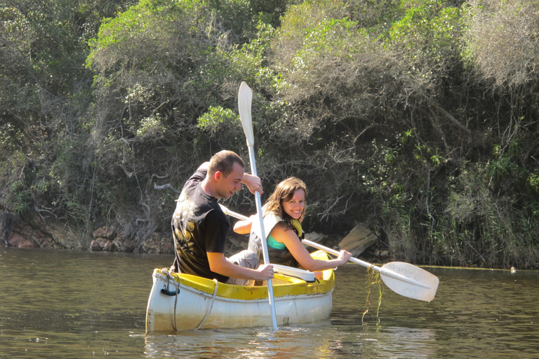 Von Kapstadt aus: 5-tägige Best of Garden Route und Addo SafariTour mit geteiltem Schlafsaal in einer Backpacker-Unterkunft