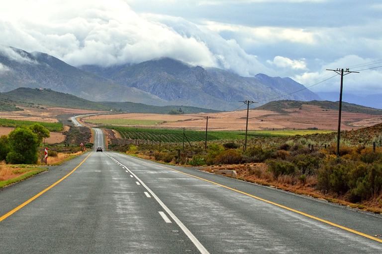 Von Kapstadt aus: 5-tägige Best of Garden Route und Addo SafariTour mit geteiltem Schlafsaal in einer Backpacker-Unterkunft