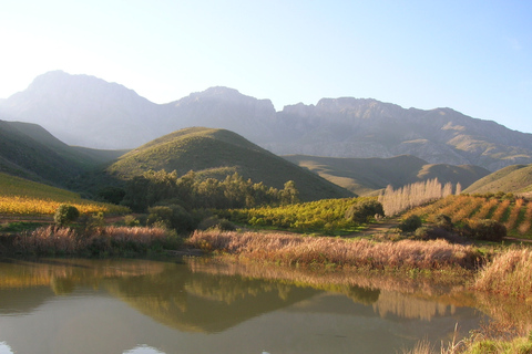 Von Kapstadt aus: 5-tägige Best of Garden Route und Addo SafariTour mit geteiltem Schlafsaal in einer Backpacker-Unterkunft