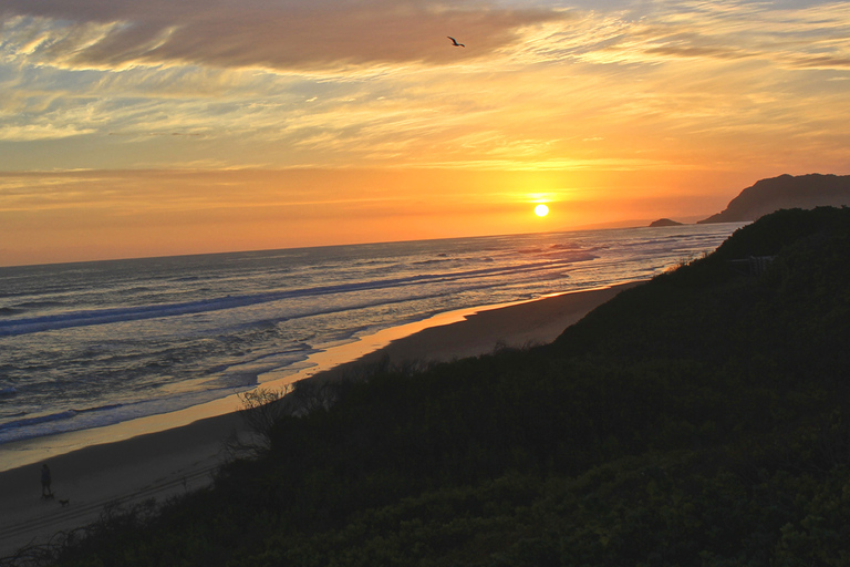 Von Kapstadt aus: 5-tägige Best of Garden Route und Addo SafariTour mit geteiltem Schlafsaal in einer Backpacker-Unterkunft