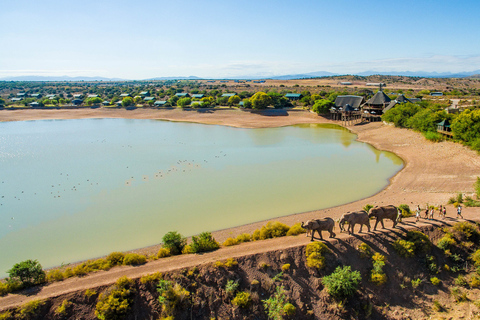 Von Kapstadt aus: 5-tägige Best of Garden Route und Addo SafariTour mit geteiltem Schlafsaal in einer Backpacker-Unterkunft