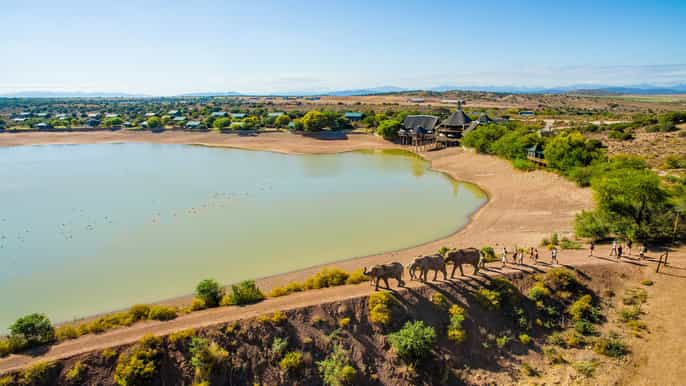 south african wildlife and safari 2day tour from cape town