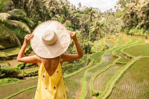Ubud: Highlights Small Group Guided Tour