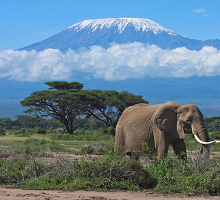 2-tägige Ausflüge ab Nairobi