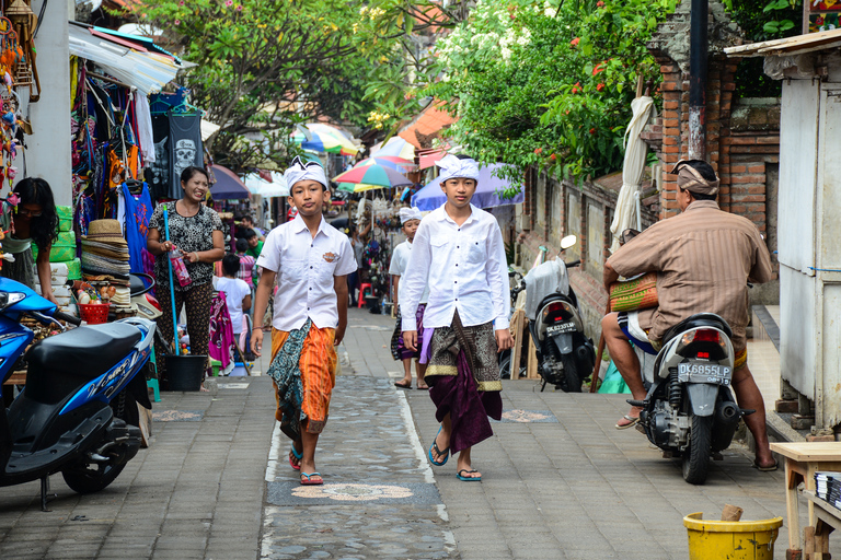 Ubud: Lo más destacado Visita guiada en grupos pequeñosTour privado con tarifas de entrada