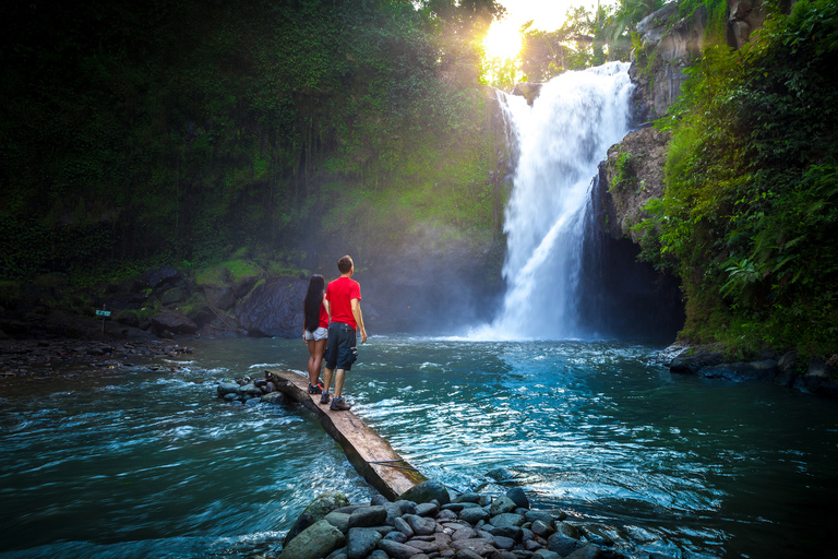 Bali: Hidden Canyon, Waterfall &amp; Temples Small Group TourPrivate Tour with Hidden Canyon