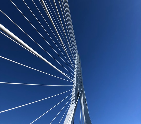 Private Architecture Walking Tour of Rotterdam