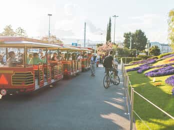 Genf: City Pass mit 60 Aktivitäten